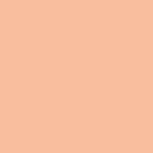 Prismacolor Soft Core Colored Pencil Salmon Pink 1001