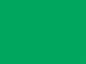 Jacquard Procion® MX Dye 2/3oz - Bright Green #097