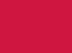 Jacquard Procion® MX Dye 2/3oz - Carmine Red #032