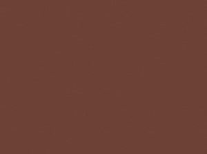 Jacquard Procion® MX Dye 2/3oz - Chocolate Brown #119