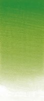 Winsor & Newton Artists' Water Colour Permanent Sap Green 503 14ml