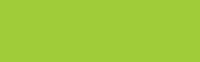 Jacquard Dye-Na-Flow 2.25oz - Chartreuse #818