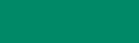 Jacquard Dye-Na-Flow 2.25oz - Emerald Green #820