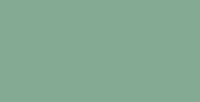 Faber-Castell Pitt Pastel Pencil - Earth Green #172
