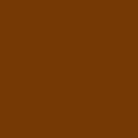 Liquitex Heavy Body Acrylic Transparent Burnt Sienna 2oz