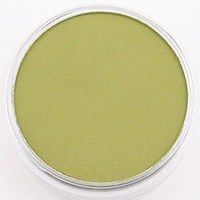 PANPASTEL BRIGHT YELLOW GREEN SHADE