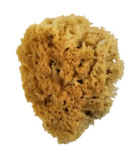 Royal Brush Wool Sponge, 4in