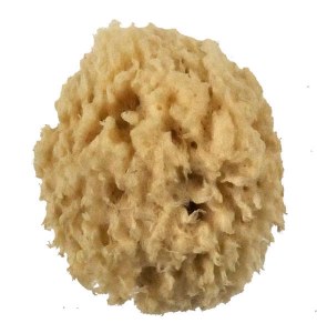 Royal Brush Wool Sponge, Small