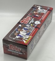 2024 TOPPS BB FACTORY SET HBY