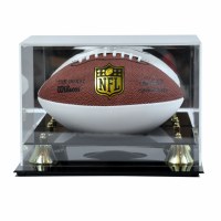 SG AD44 MINI FOOTBALL DISPLAY