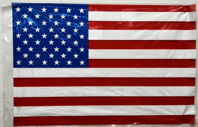 USA FLAG 2'X3' PLASTIC+/-200CT