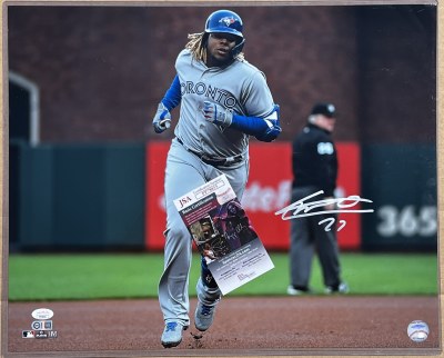VLAD GUERRORO JR 16X20 P3 VLAD GUERRORO JR 16X20 P3