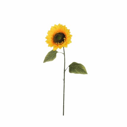 Single Stem Sunflower 72cm Newlands Garden Centre Single Stem Sunflower 72cm Newlands