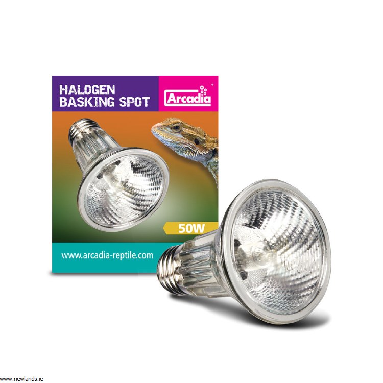 50 watt reptile bulb