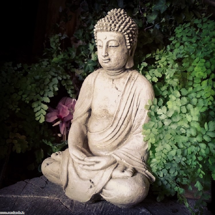 Buddha Garden Statues Ireland | Fasci Garden