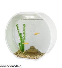 fish r fun deco fish tank