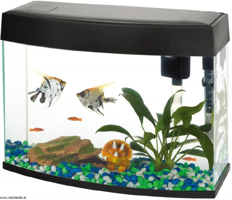 20 litre fish bowl