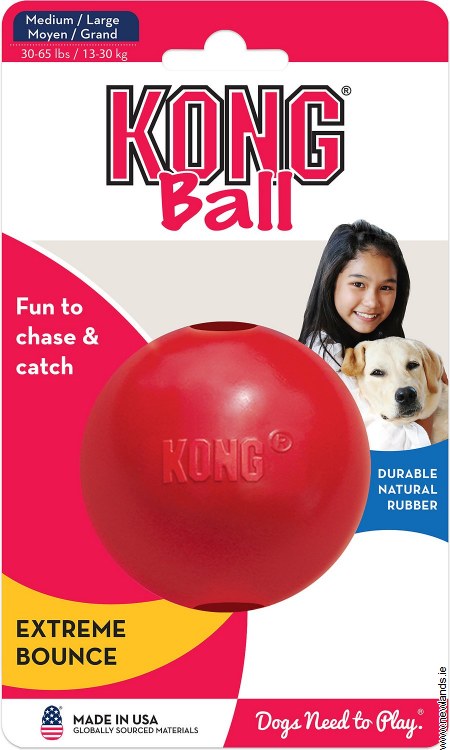 kong puppy ball