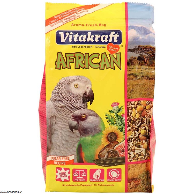 african grey parrot food
