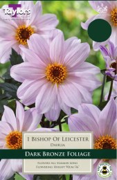 DAHLIA BISHOP OF LEICESTER