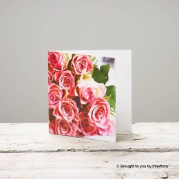 Pink rose Greeting Card