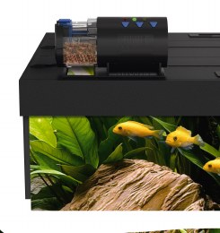 automatic fish feeder ireland