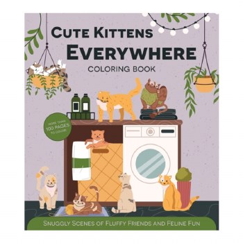 Cute Kittens Everywhere