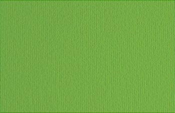 Fabriano Elle Erre 50x70cm Verde (Green) - Min 3 Sheets