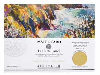 Pastel Card Pack - 6 Sheets 40x30cm - Monochrome Naples Yellow