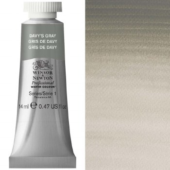 W&N Professional Watercolour 14ml Davy's Gray