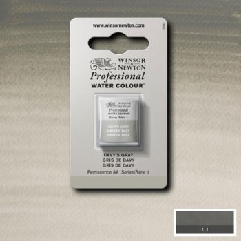 W&N Professional Watercolour Half Pan Davy's Gray