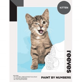 Paint by Numbers Kitten