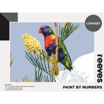 Paint by Numbers Lorikeet