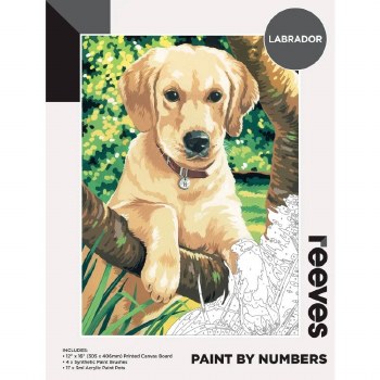 Paint by Numbers Labrador