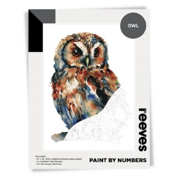 Paint by Numbers Owl