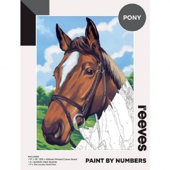 Paint by Numbers Pony