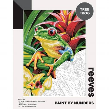 Paint by Numbers Tree Frog