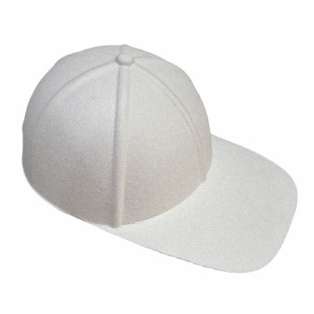 Paper Baseball Cap (1)