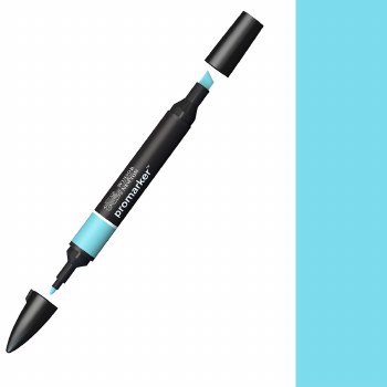 ProMarker C528 Duck Egg