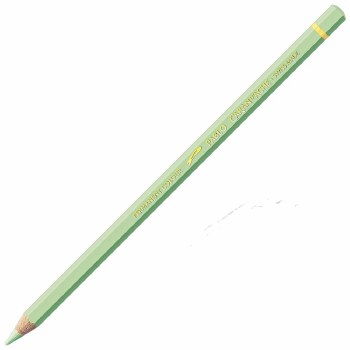 Caran D'Ache Pablo Water-Resistant Coloured Pencil - Light Green 221