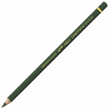 Caran D'Ache Pablo Water-Resistant Coloured Pencil - Olive Black 019
