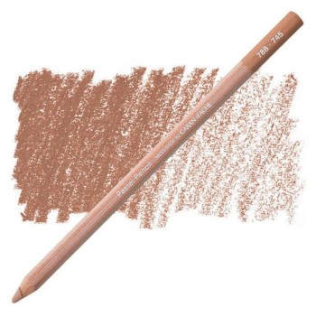 Caran D'Ache Pastel Pencil Warm Earth 40% 745