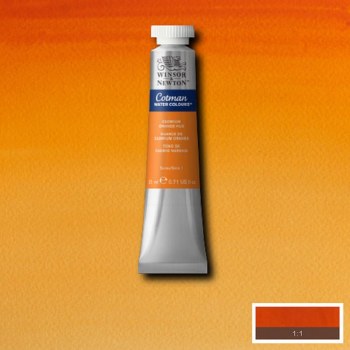 Winsor & Newton Cotman Watercolour 21ml Cadmium Orange Hue