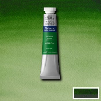 Winsor & Newton Cotman Watercolour 21ml Hooker's Green Light
