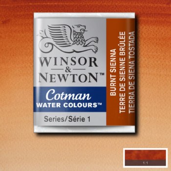 Winsor & Newton Cotman Half Pan Watercolours Burnt Sienna