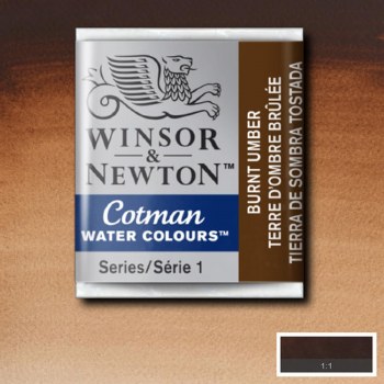 Winsor & Newton Cotman Half Pan Watercolours Burnt Umber