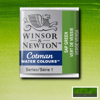 Winsor & Newton Cotman Half Pan Watercolours Sap Green
