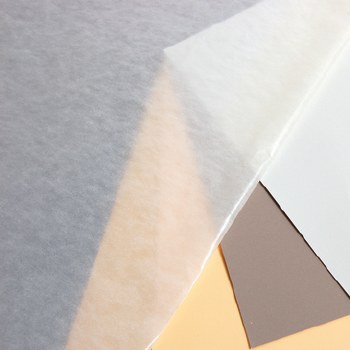 Glassine Paper 50x75cm - Roll of 10 Sheets