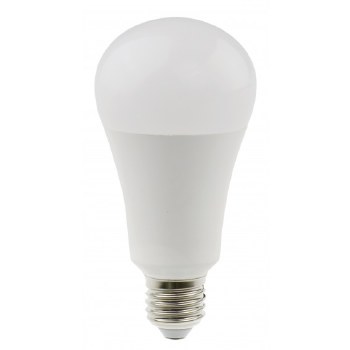 Daylight 15W LED Bulb*