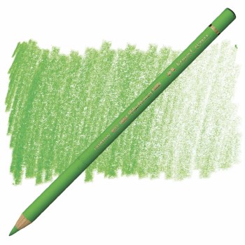 Faber-Castell Polychromos Artists' Colour Pencil - Grass Green 166